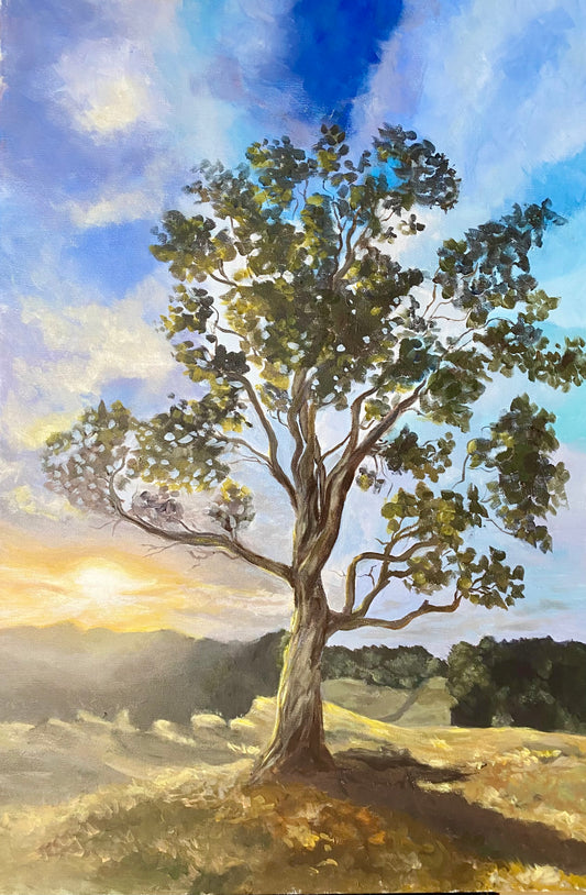 Gum Tree